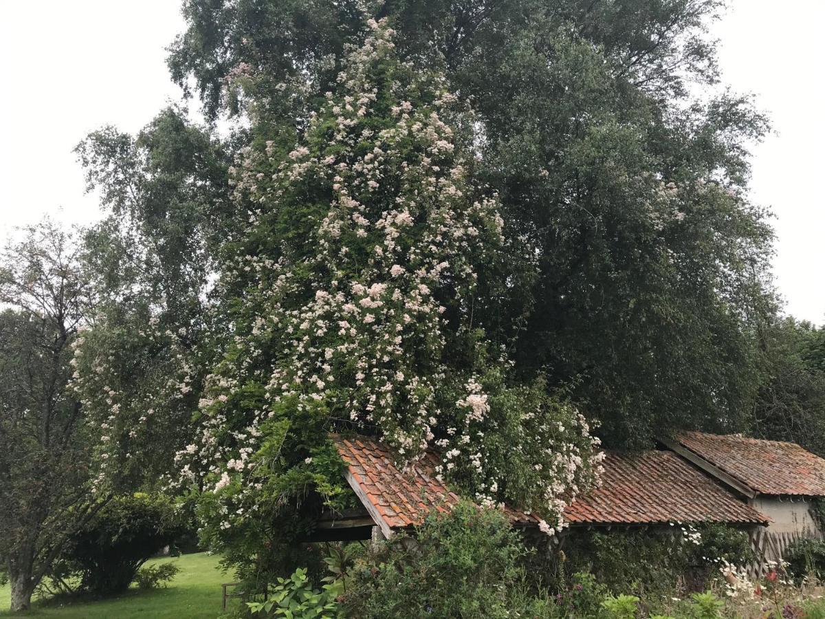 Le Jardin Sauvage Bed and Breakfast Maintenay Eksteriør billede