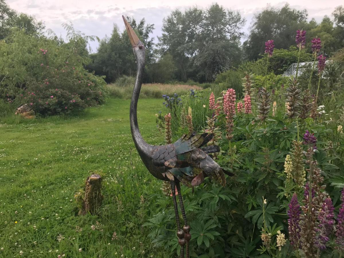 Le Jardin Sauvage Bed and Breakfast Maintenay Eksteriør billede