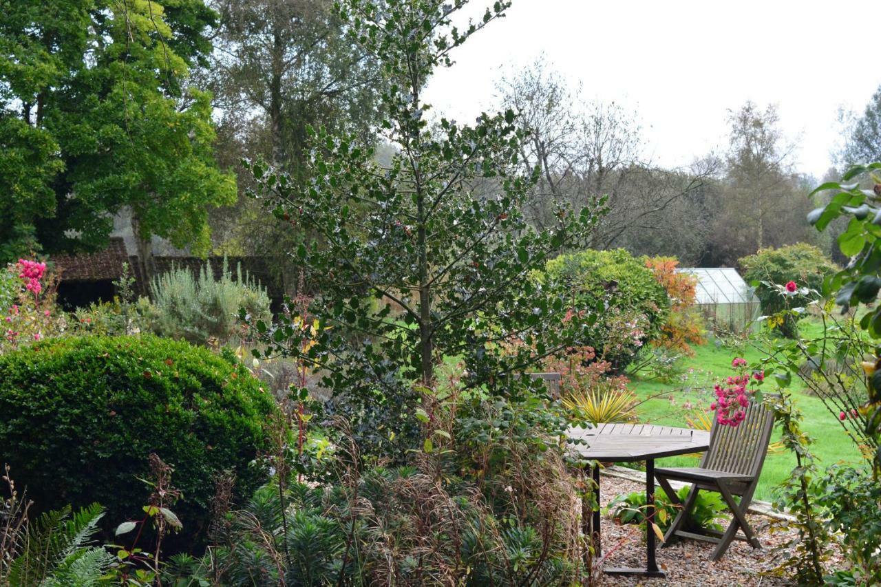 Le Jardin Sauvage Bed and Breakfast Maintenay Eksteriør billede