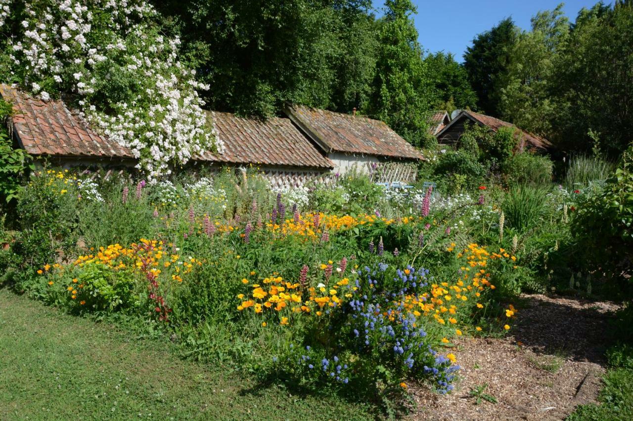Le Jardin Sauvage Bed and Breakfast Maintenay Eksteriør billede