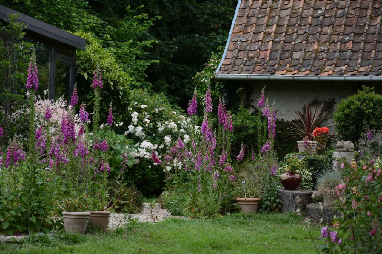 Le Jardin Sauvage Bed and Breakfast Maintenay Eksteriør billede