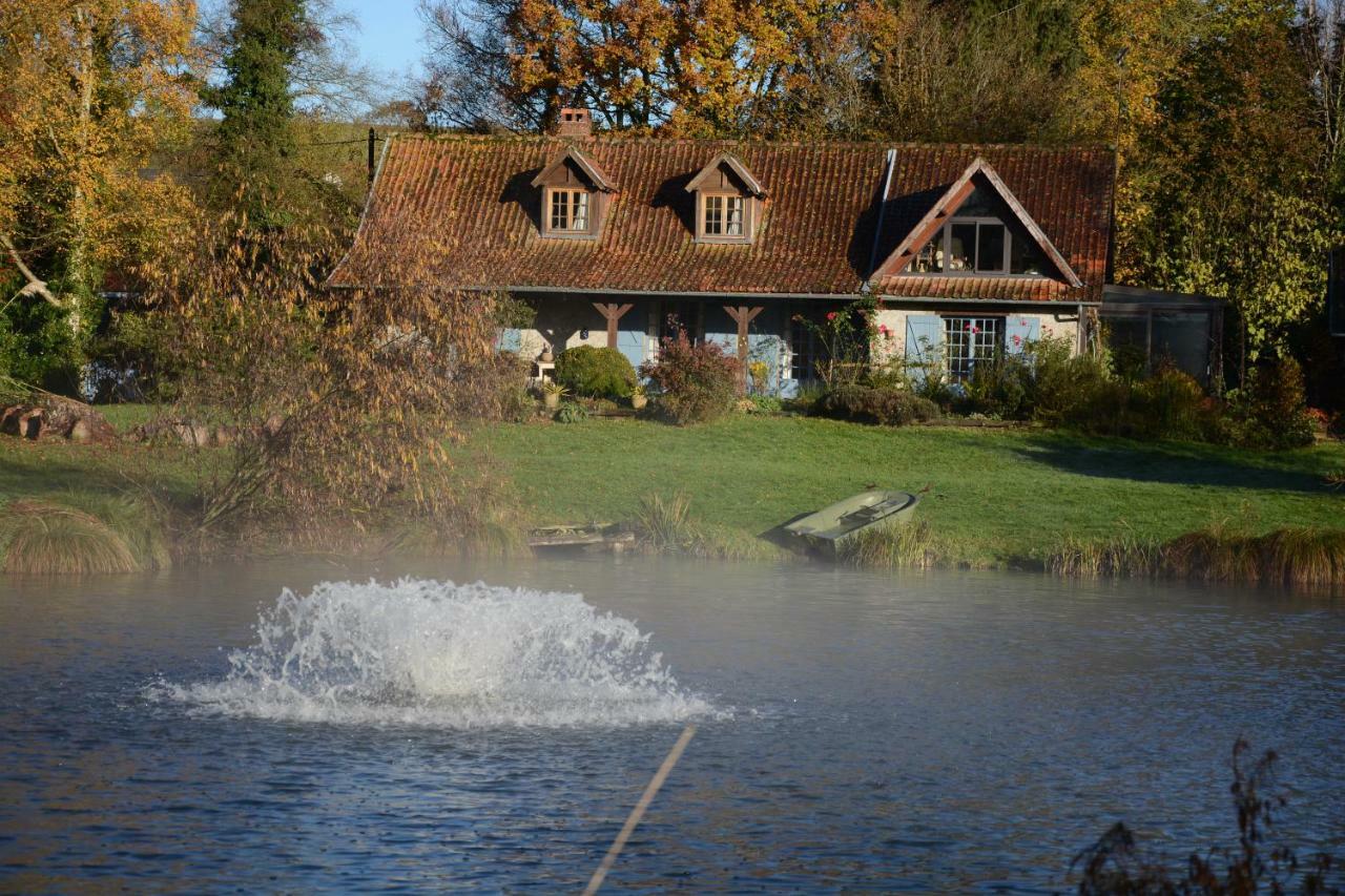 Le Jardin Sauvage Bed and Breakfast Maintenay Eksteriør billede