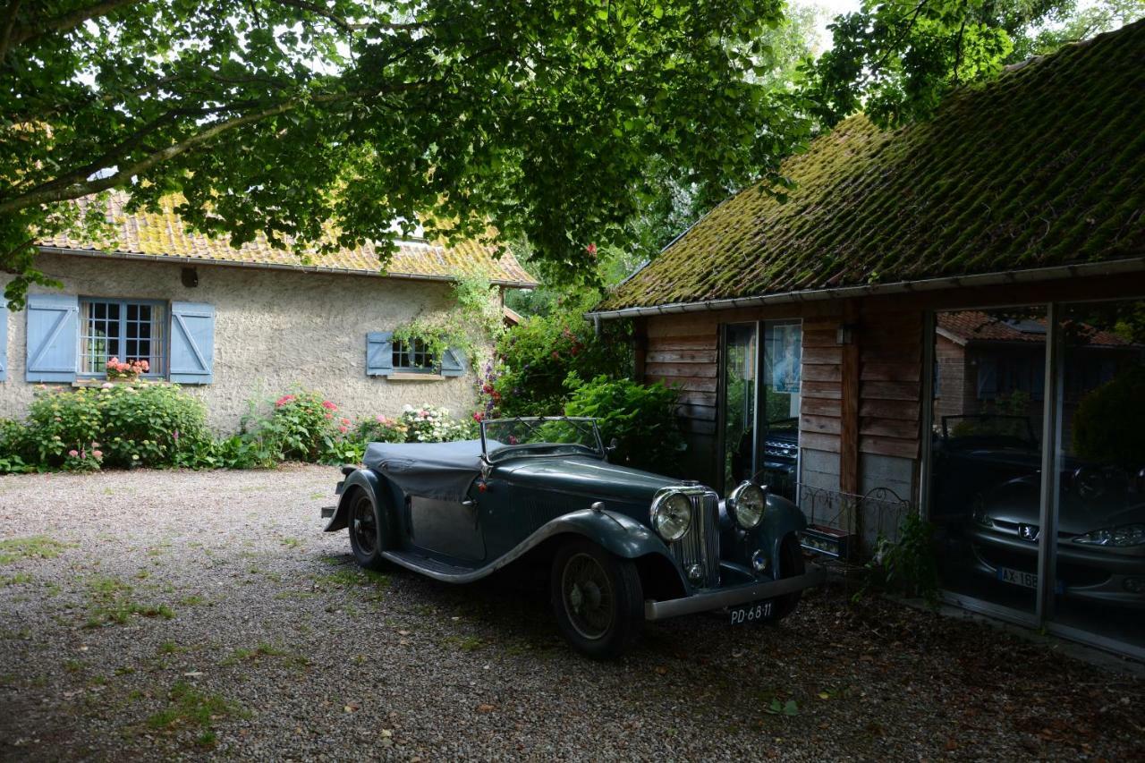Le Jardin Sauvage Bed and Breakfast Maintenay Eksteriør billede